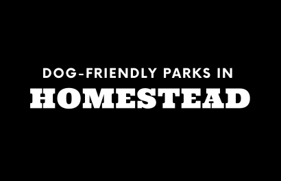 Dog-Friendly Parks in Homestead